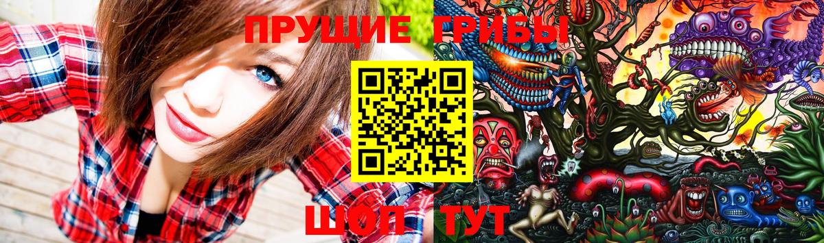Галлюциногенные грибы GOLDEN TEACHER  Вход с VPN  Псилоцибиновые грибы ЛСД  Тара 